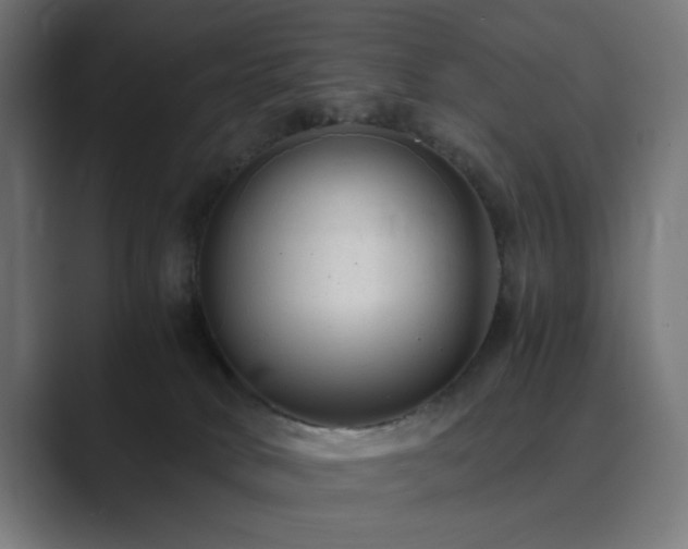 X0000089950034200706291219