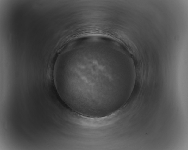 X0000089950035200706291219