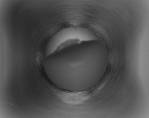 X0000089950036200706291219