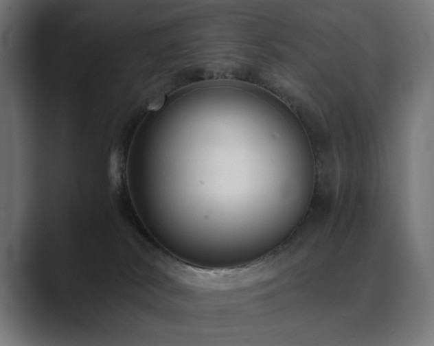 X0000089950038200706291219