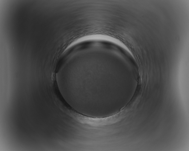 X0000089950039200706291219