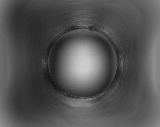 X0000089950040200706291219