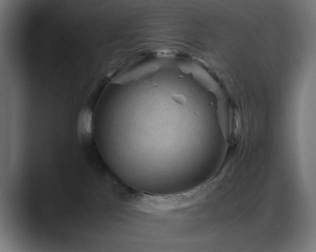 X0000089950041200706291219