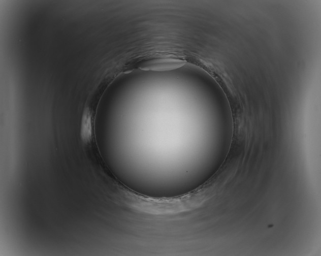 X0000089950042200706291219