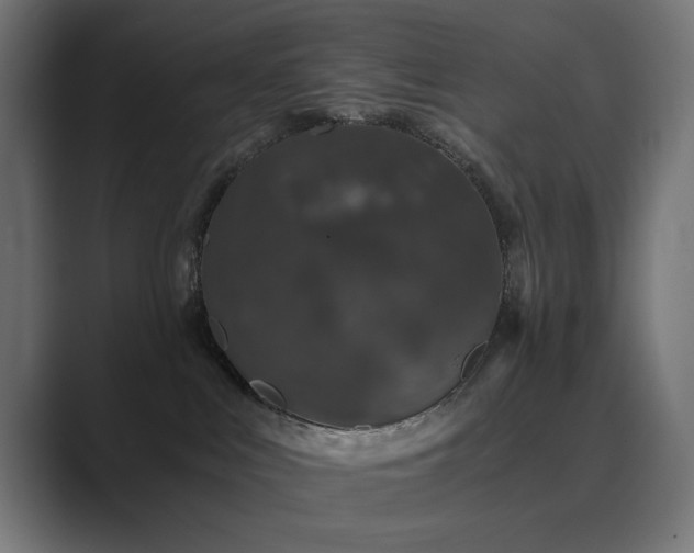 X0000089950043200706291219