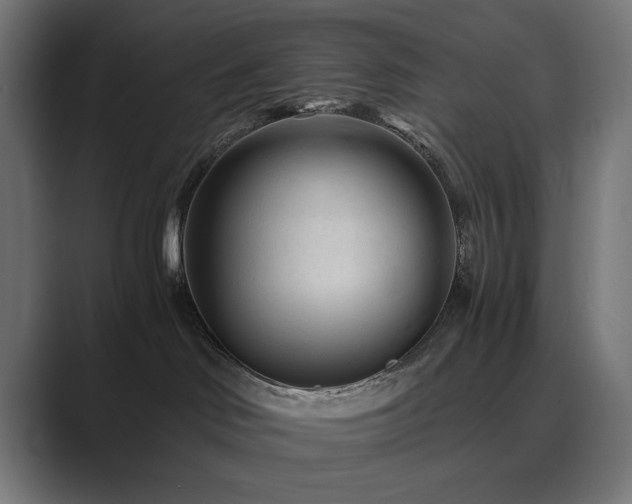 X0000089950046200706291219