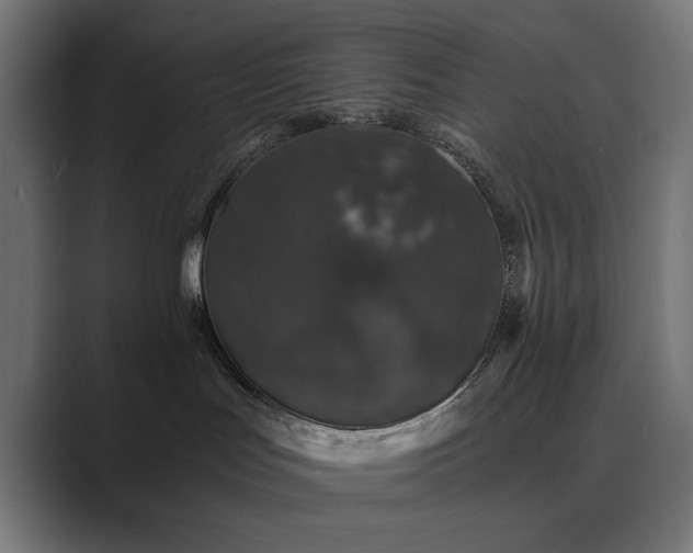 X0000089950047200706291219