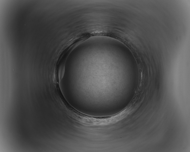 X0000089950048200706291219