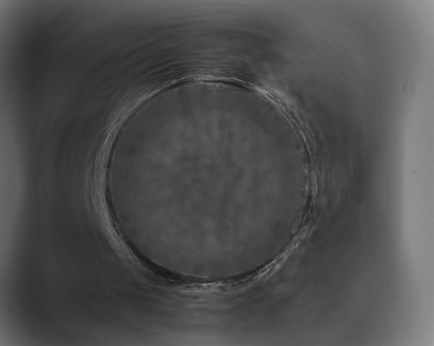 X0000089950049200706291219
