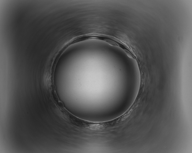 X0000089950050200706291219
