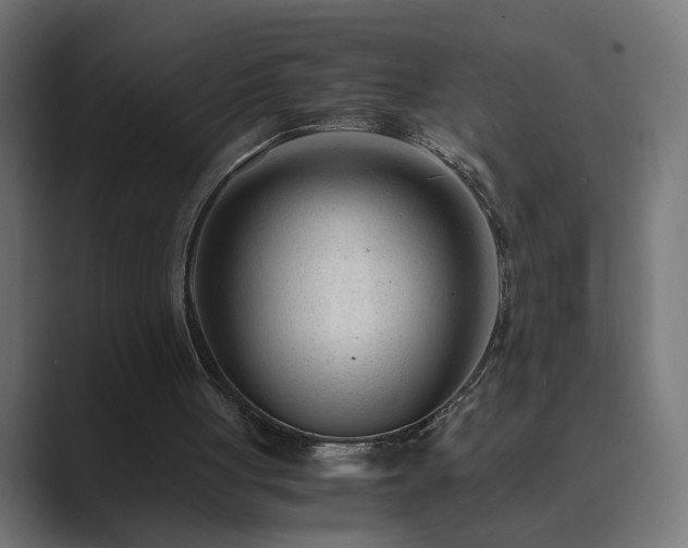 X0000089950051200706291219