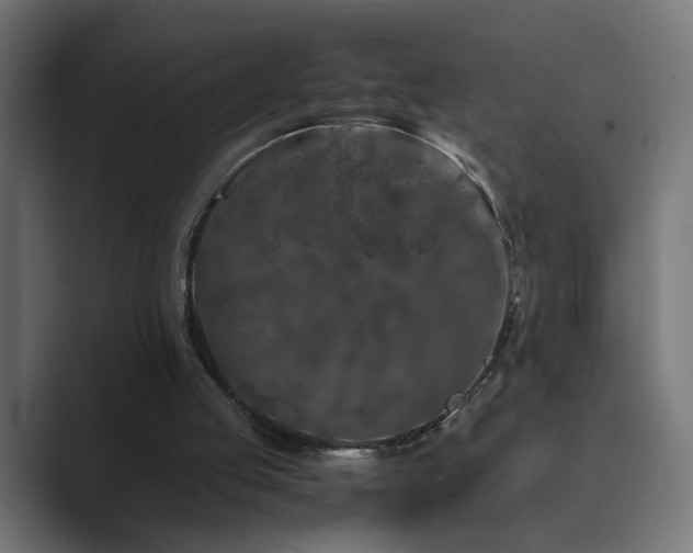 X0000089950053200706291219