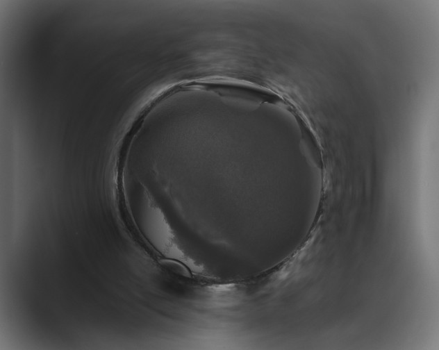 X0000089950054200706291219