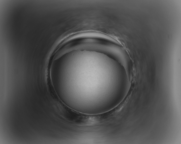 X0000089950056200706291219