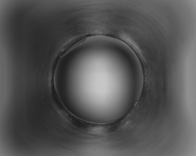 X0000089950058200706291219