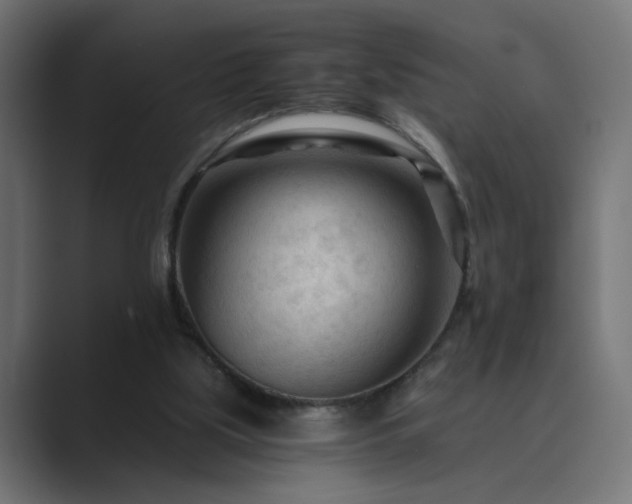 X0000089950059200706291219