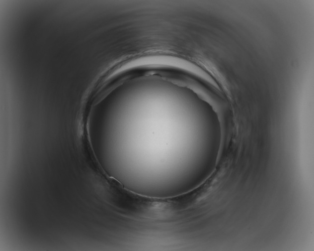 X0000089950060200706291219