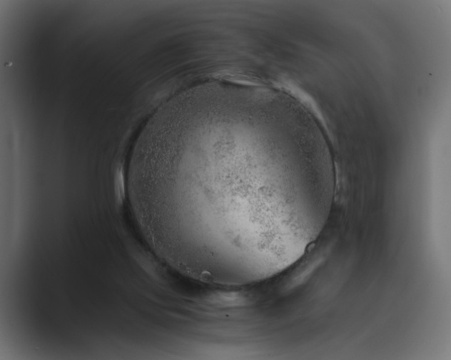 X0000089950061200706291219