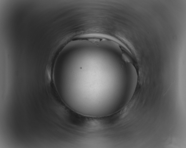 X0000089950062200706291219