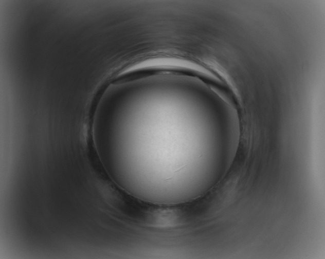 X0000089950063200706291219