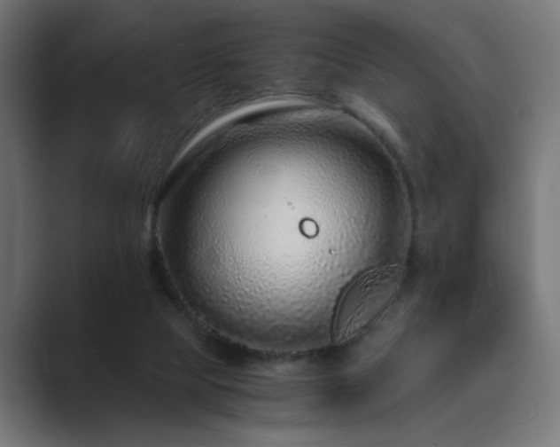 X0000089950065200706291219