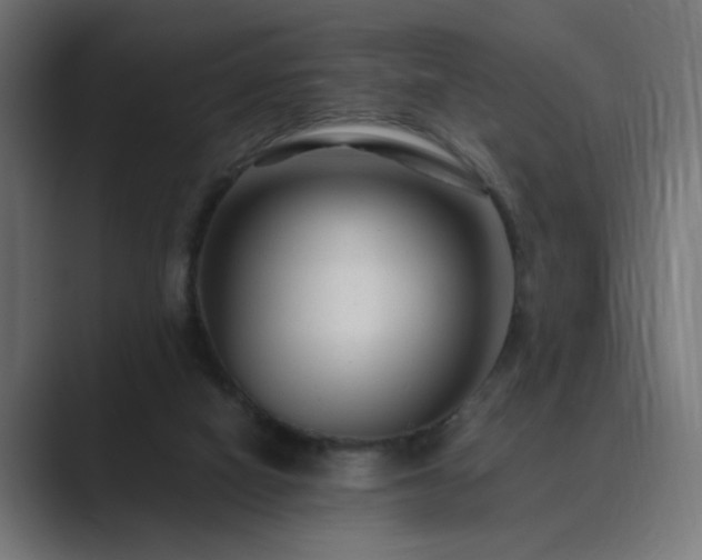X0000089950066200706291219