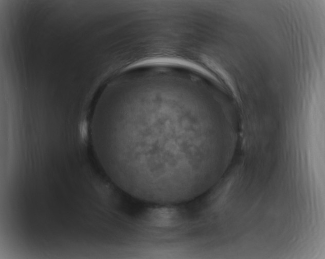 X0000089950067200706291219