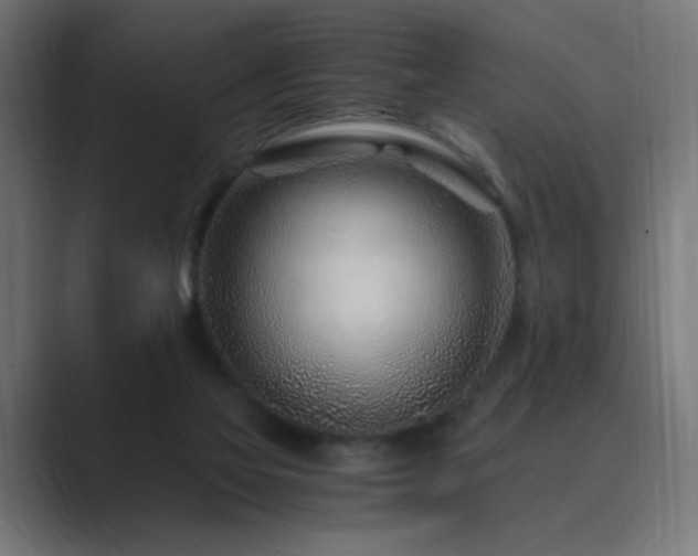 X0000089950069200706291219