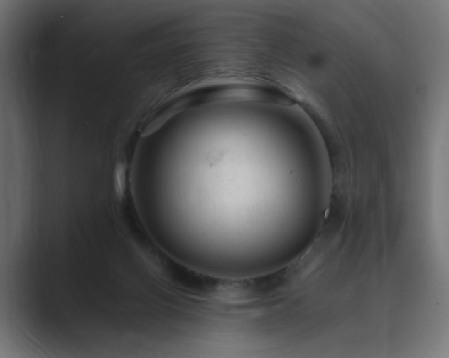 X0000089950070200706291219