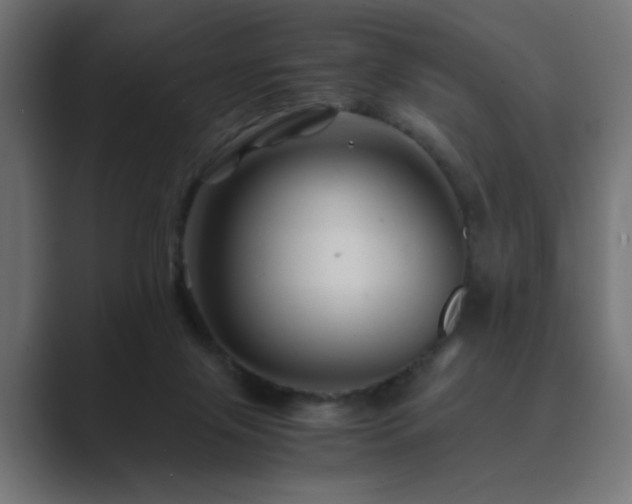 X0000089950071200706291219