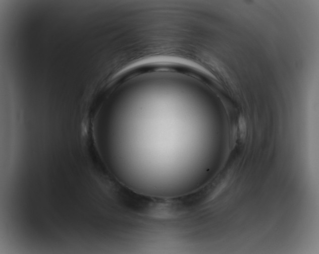 X0000089950072200706291219
