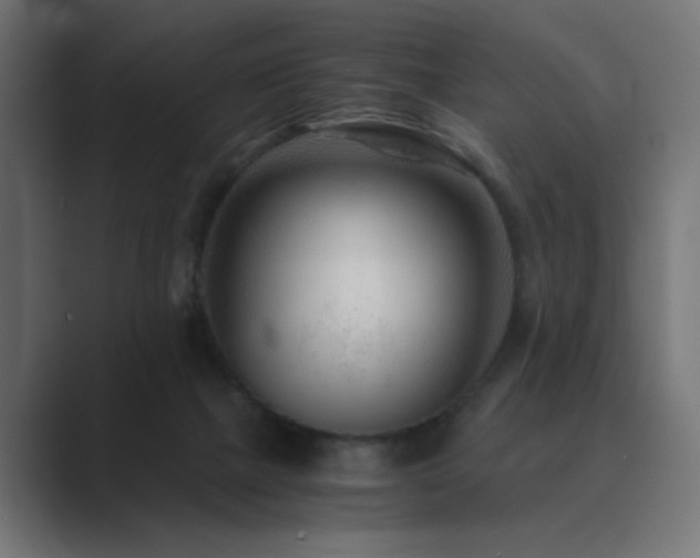 X0000089950073200706291219