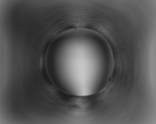 X0000089950074200706291219