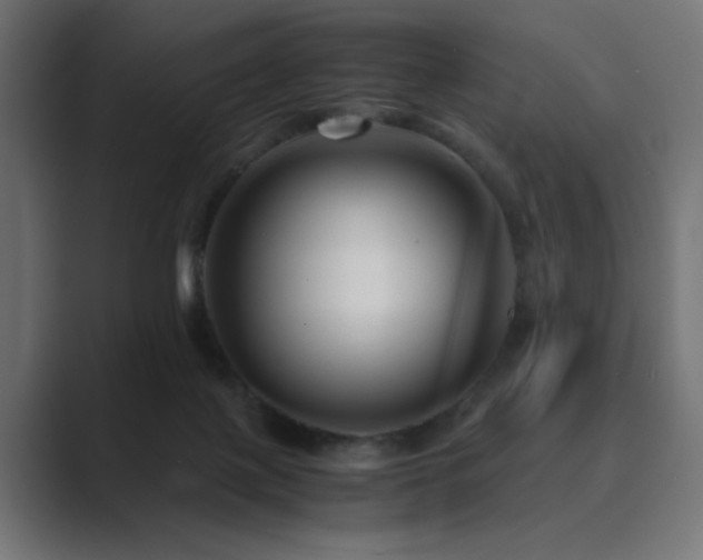 X0000089950075200706291219