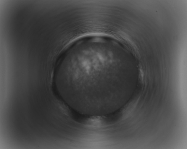 X0000089950076200706291219