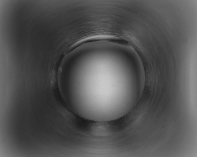 X0000089950077200706291219