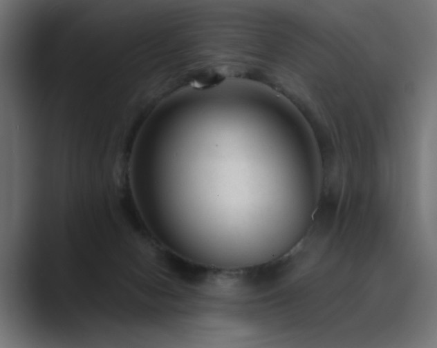 X0000089950078200706291219