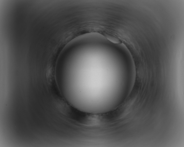 X0000089950079200706291219