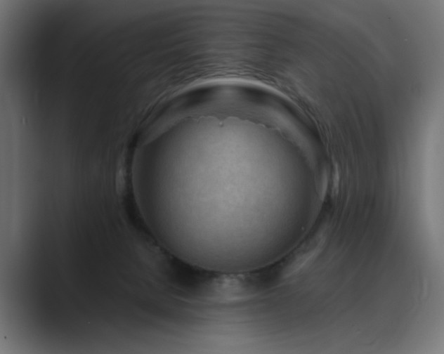 X0000089950080200706291219