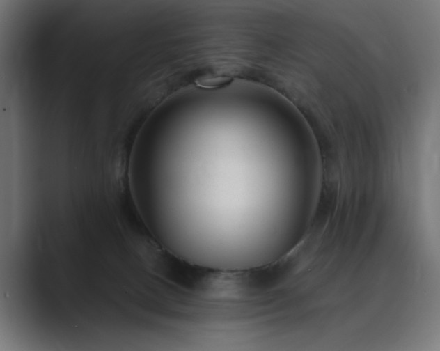 X0000089950082200706291219
