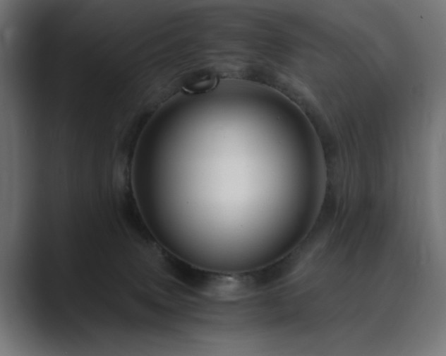 X0000089950083200706291219