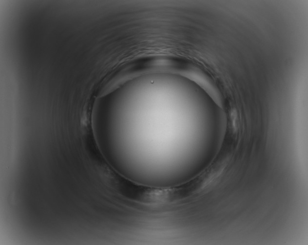 X0000089950084200706291219