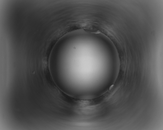 X0000089950085200706291219