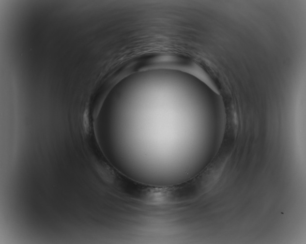 X0000089950088200706291219