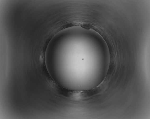 X0000089950090200706291219