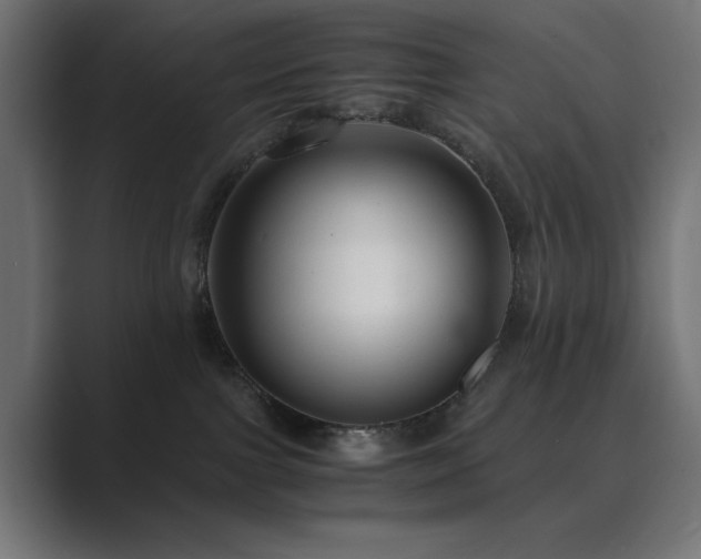 X0000089950091200706291219