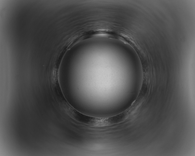 X0000089950093200706291219