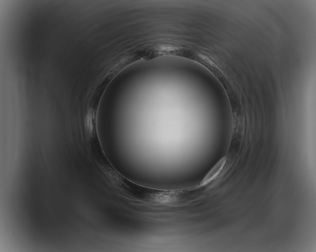 X0000089950094200706291219
