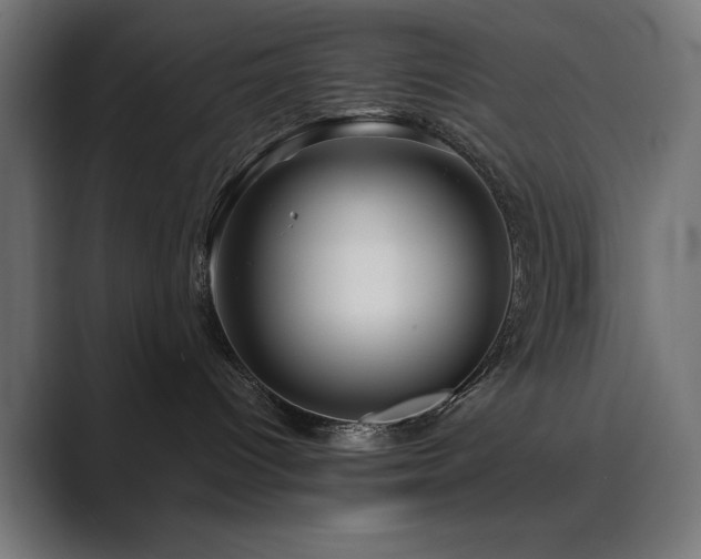 X0000089950096200706291219