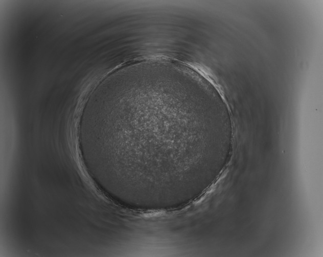 X0000089950097200706291219